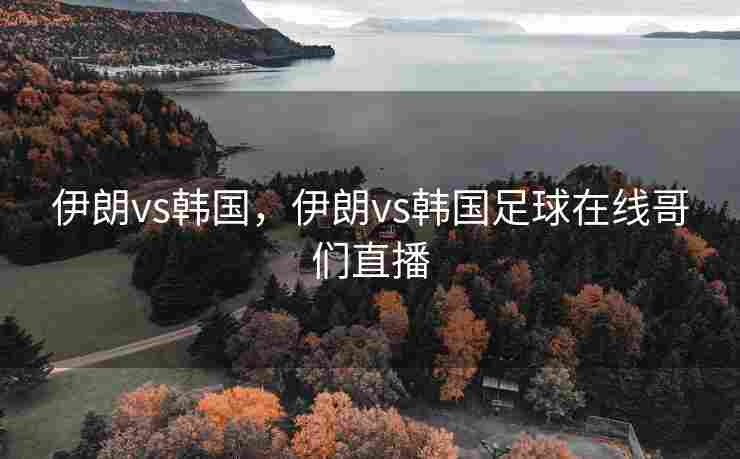 伊朗vs韩国，伊朗vs韩国足球在线哥们直播