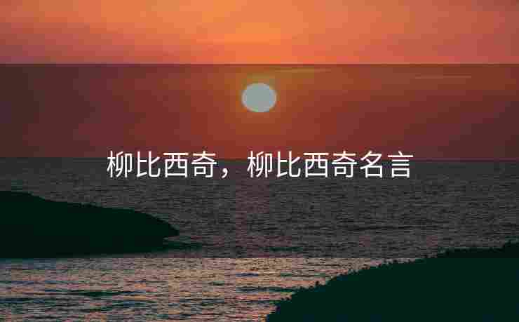 柳比西奇，柳比西奇名言