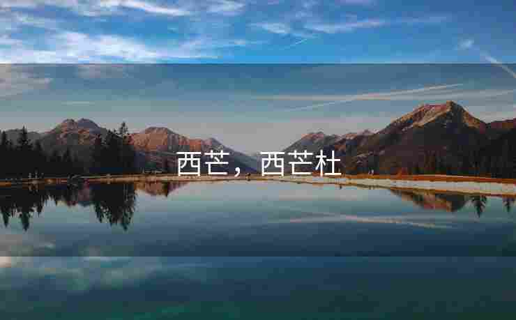 西芒，西芒杜