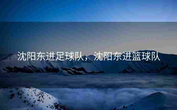 沈阳东进足球队，沈阳东进篮球队