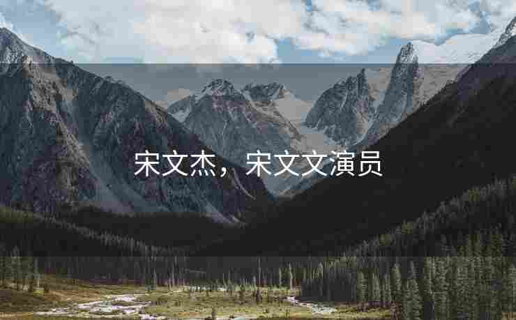 宋文杰，宋文文演员