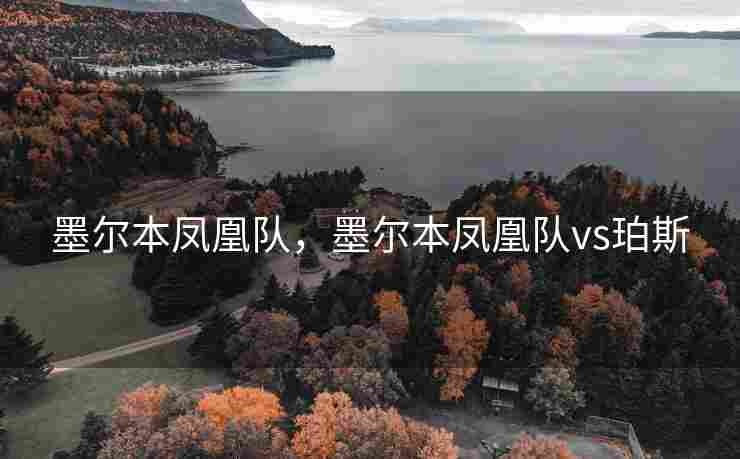 墨尔本凤凰队，墨尔本凤凰队vs珀斯