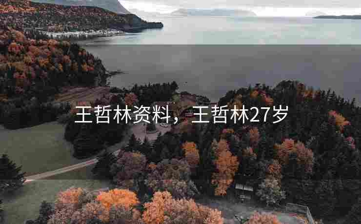 王哲林资料，王哲林27岁