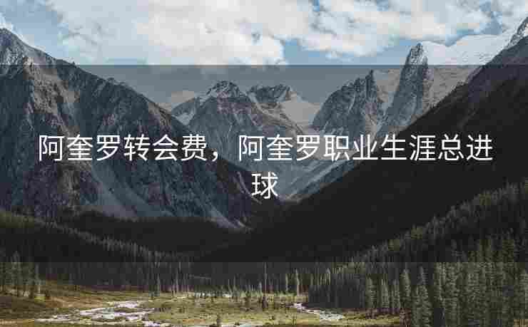 阿奎罗转会费，阿奎罗职业生涯总进球