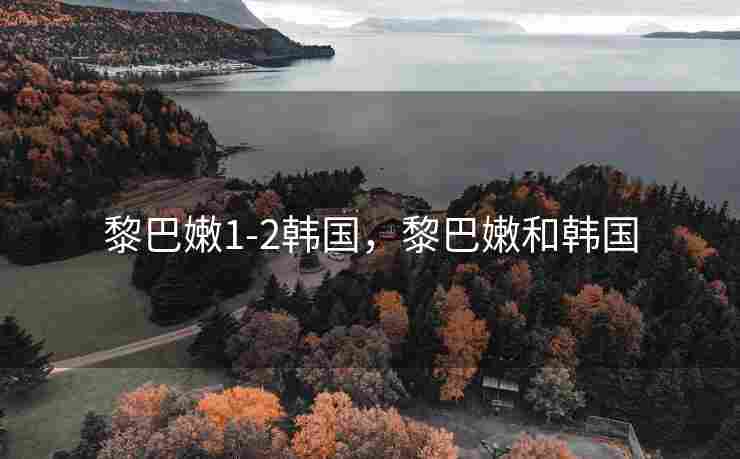 黎巴嫩1-2韩国，黎巴嫩和韩国
