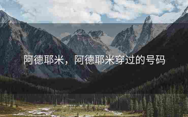 阿德耶米，阿德耶米穿过的号码