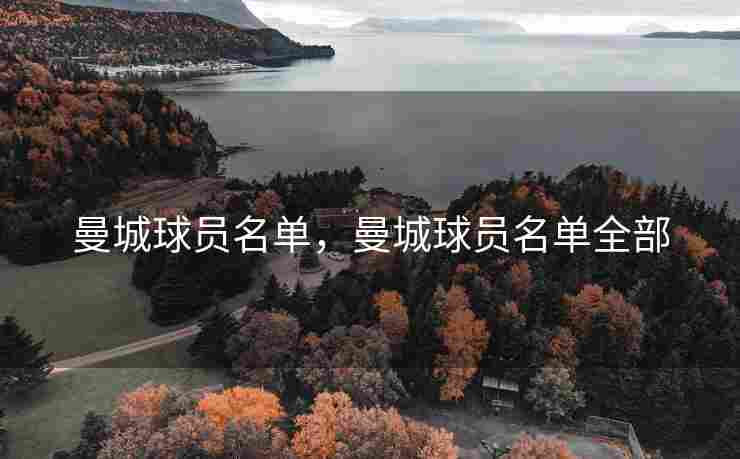 曼城球员名单，曼城球员名单全部