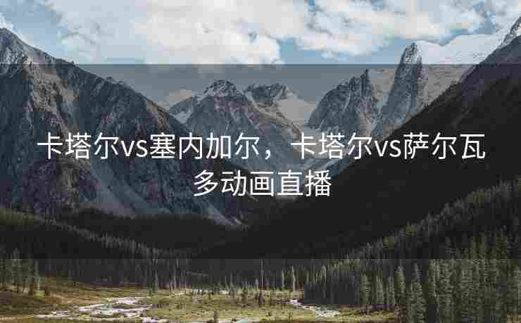 卡塔尔vs塞内加尔，卡塔尔vs萨尔瓦多动画直播