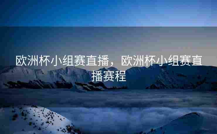 欧洲杯小组赛直播，欧洲杯小组赛直播赛程