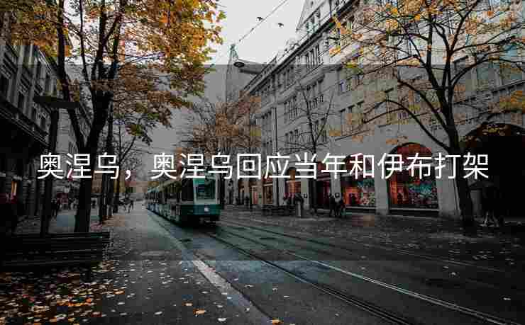奥涅乌，奥涅乌回应当年和伊布打架