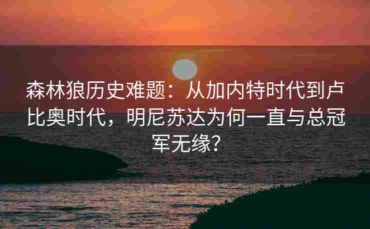 森林狼历史难题：从加内特时代到卢比奥时代，明尼苏达为何一直与总冠军无缘？