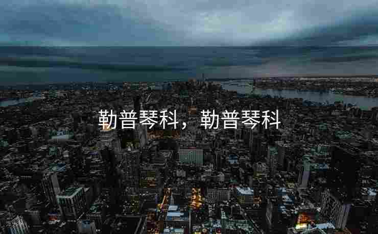 勒普琴科，勒普琴科