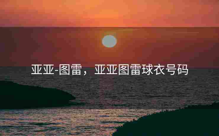 亚亚-图雷，亚亚图雷球衣号码
