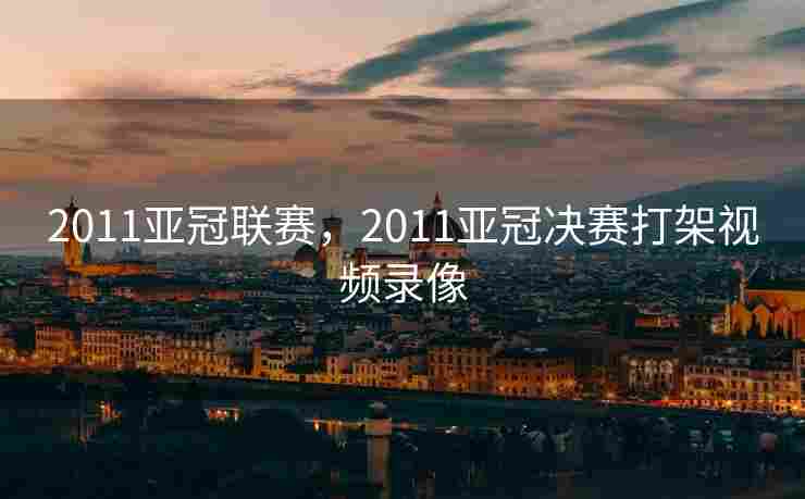 2011亚冠联赛，2011亚冠决赛打架视频录像