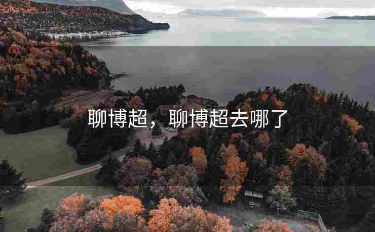 聊博超，聊博超去哪了